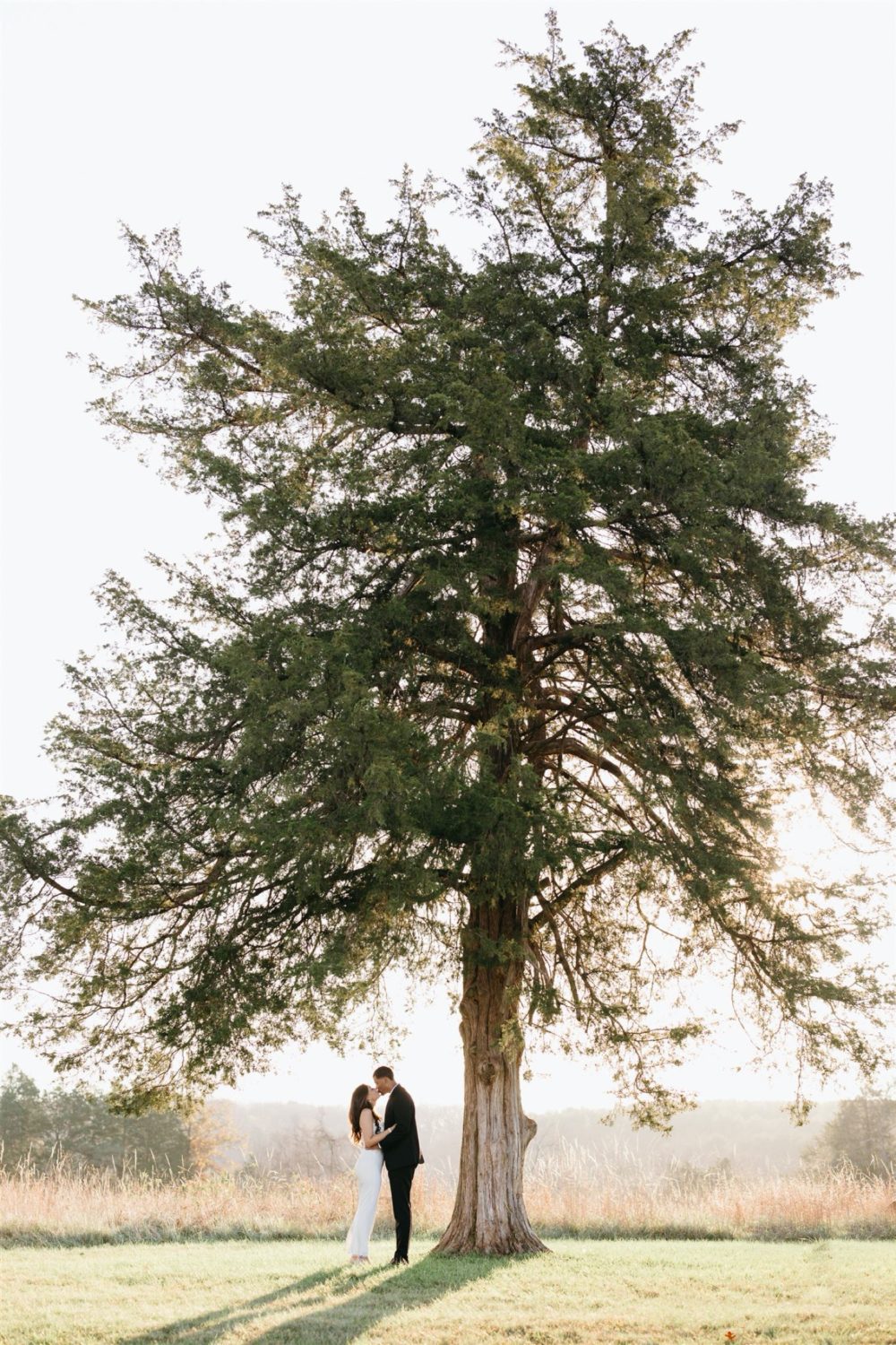 engagement session bride and groom kissing under tree
