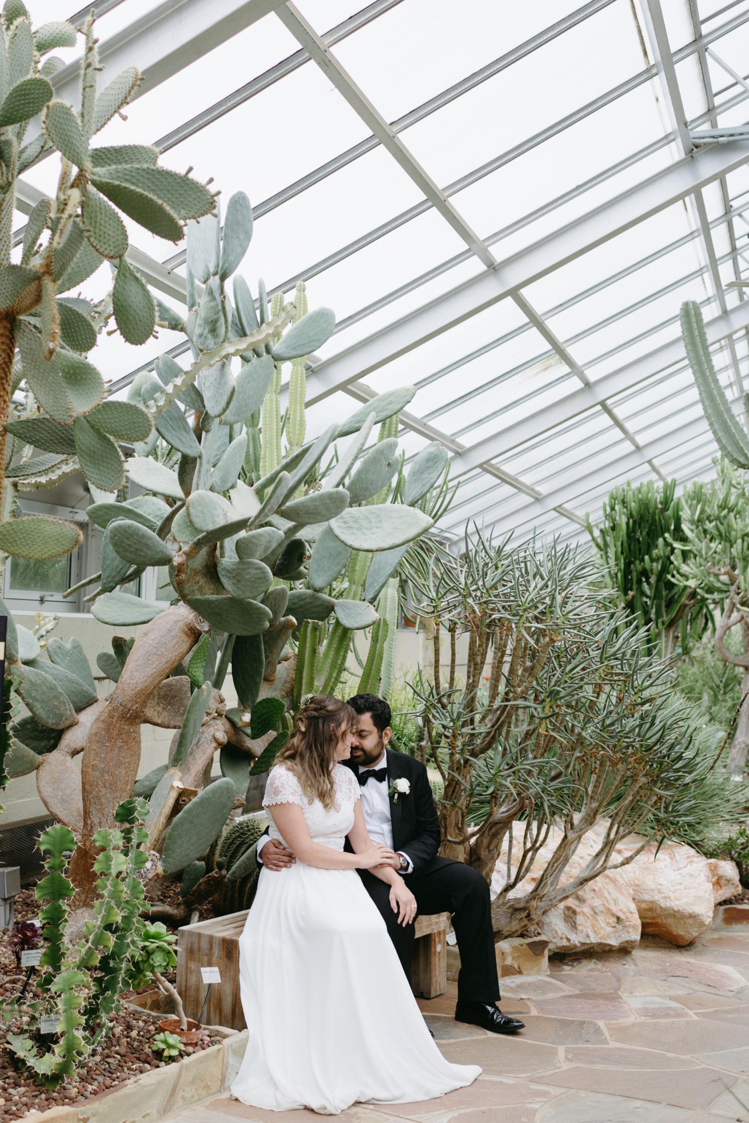 bride and groom seated snuggling close in greenhouse surrounded by desert flora
